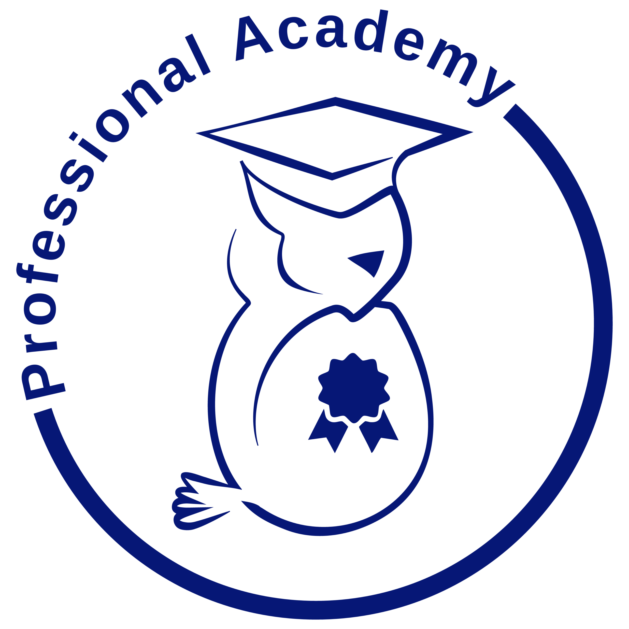 Professional academy 1 03